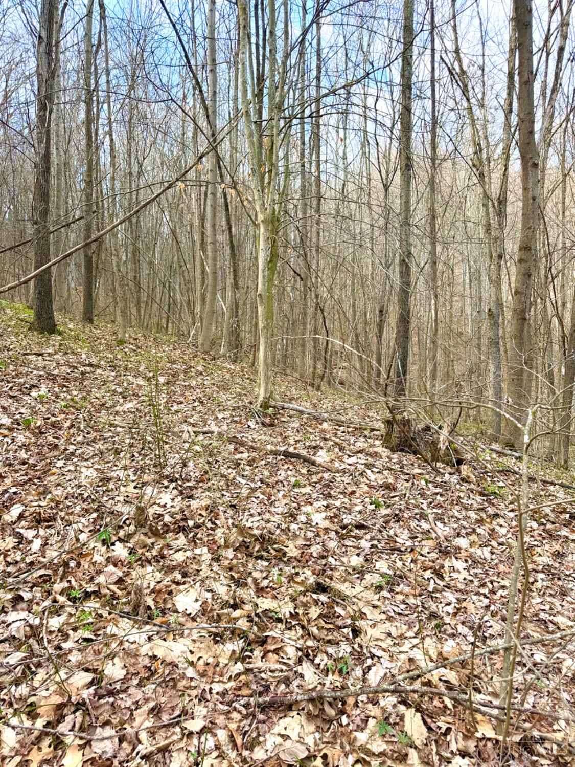 0 Fyffe Hollow Road Chillicothe, OH 45601 - Photo 25 of 96