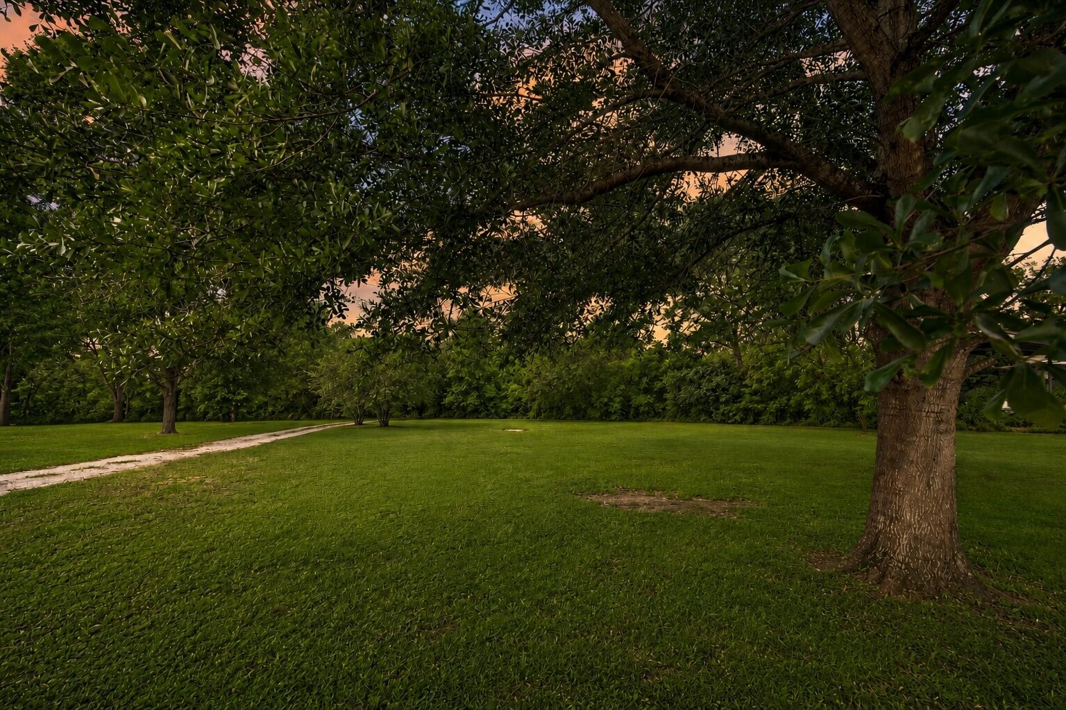 8407 Wilson Street Fulshear, TX 77441 - Photo 13 of 16