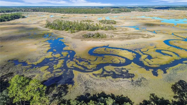 $499,900 | 1261 Otter Slide Loop, Townsend, GA 31331