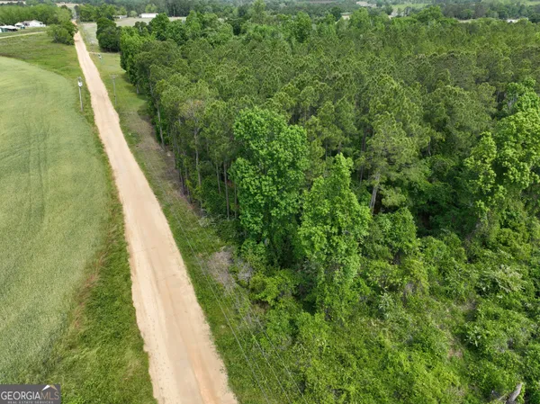 a view of a forest with trees