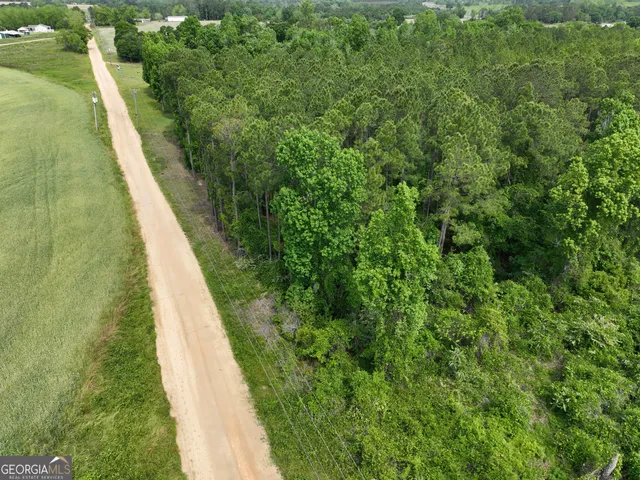 a view of a forest with trees