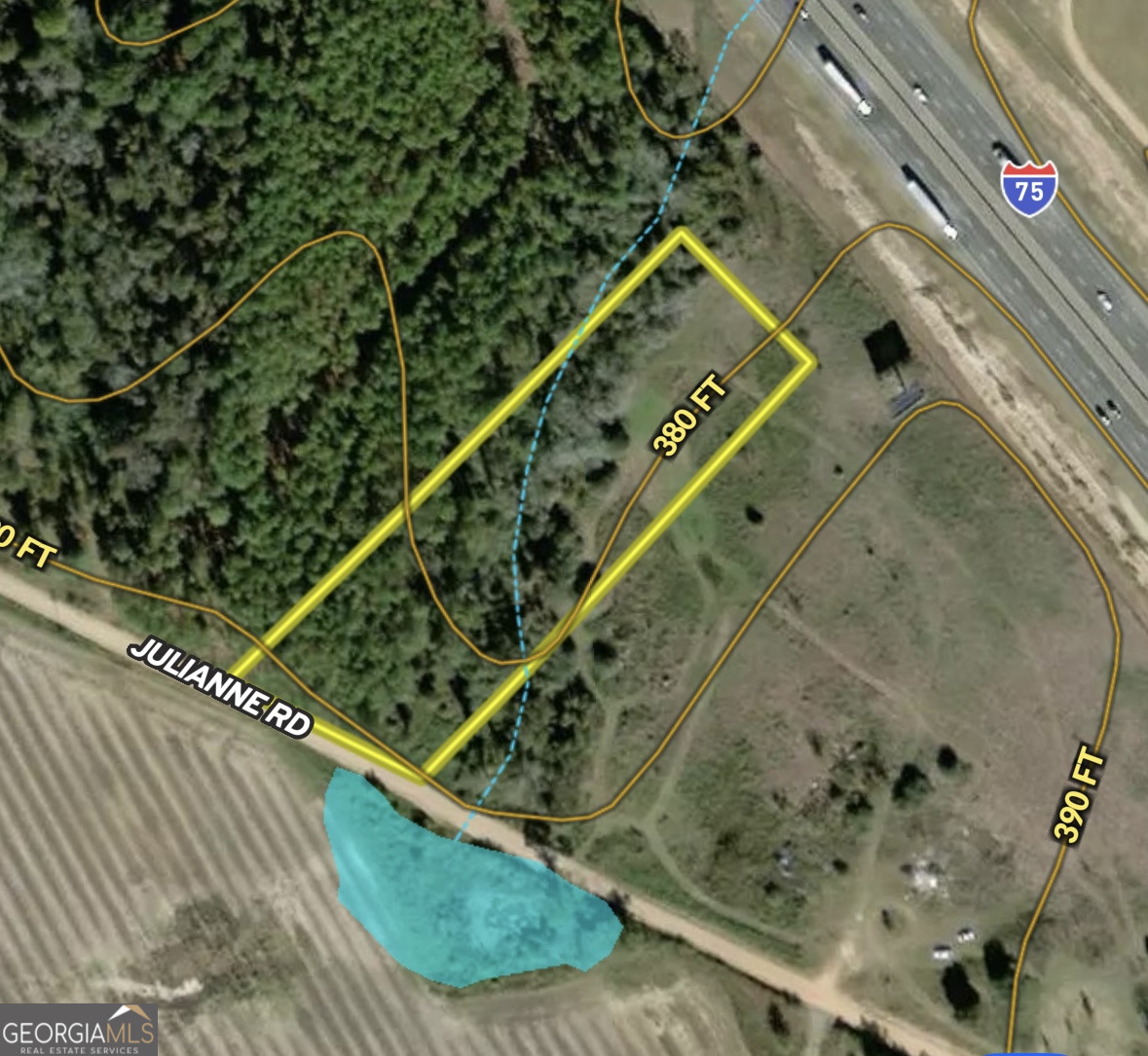 0 Julianne Road Ashburn, GA 31714 - Photo 13 of 14 a view of swimming pool with a back yard