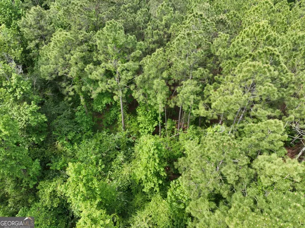 a view of an ocean and green space