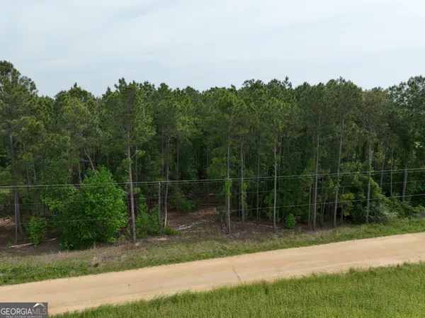 a view of a lush green field