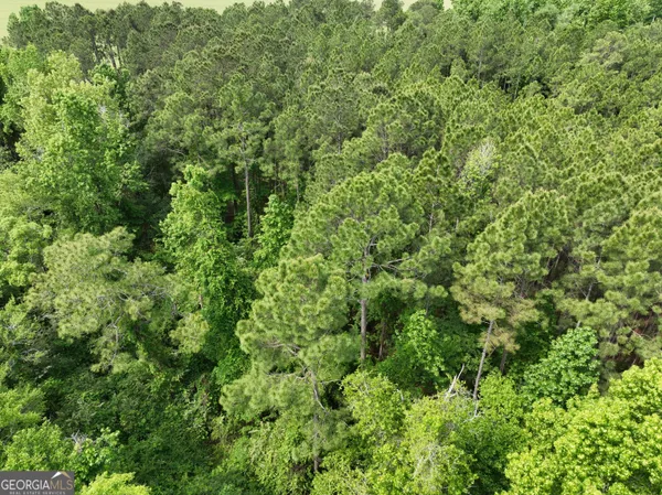 a view of a garden area