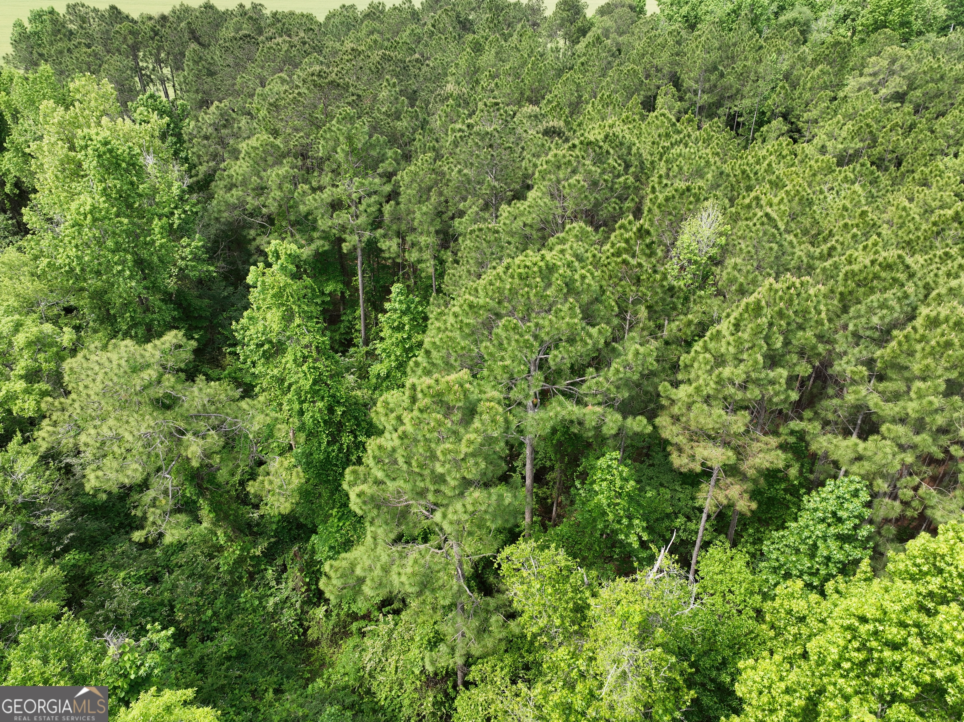 0 Julianne Road Ashburn, GA 31714 - Photo 8 of 14