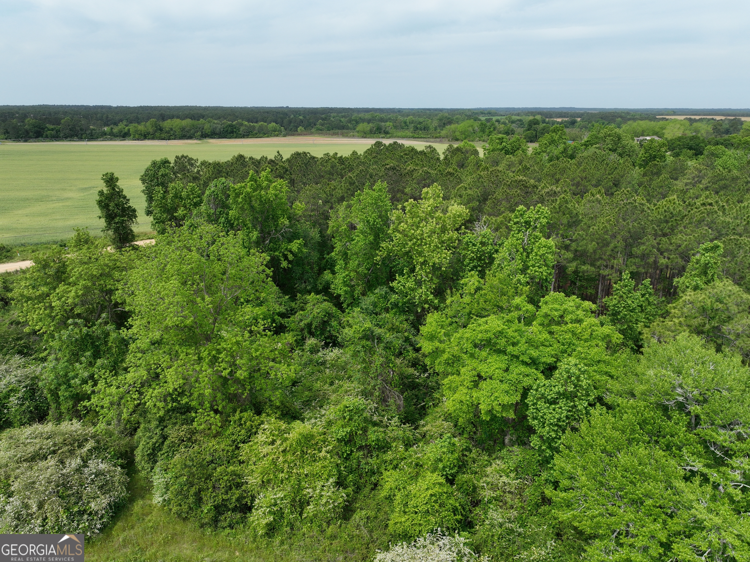 0 Julianne Road Ashburn, GA 31714 - Photo 9 of 14 a view of an ocean and green space