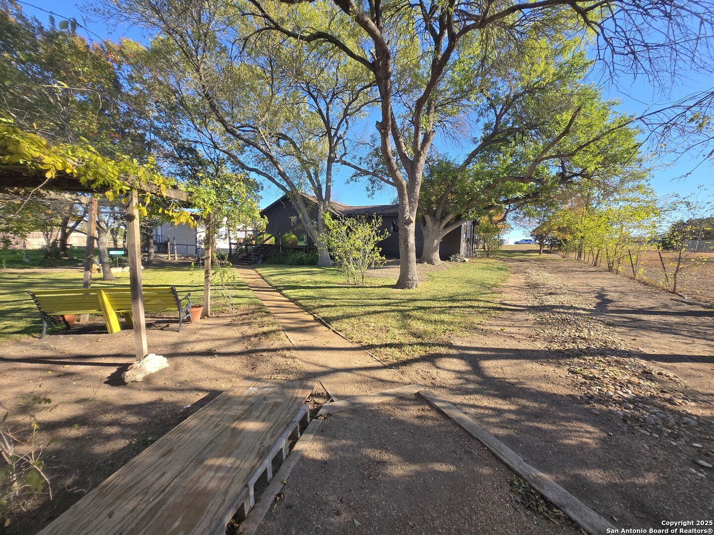 5564 Farm To Market Road 1103 Schertz, TX 78108 - Photo 31 of 35 a view of a yard with palm trees