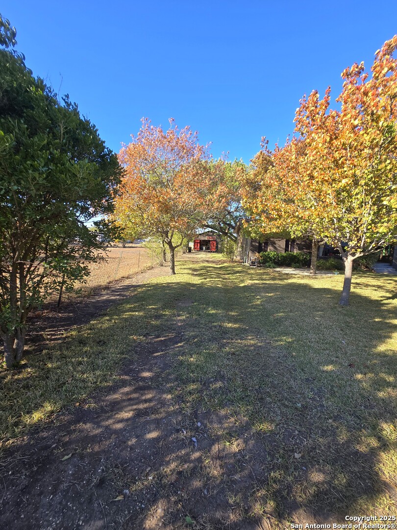 5564 Farm To Market Road 1103 Schertz, TX 78108 - Photo 4 of 35 a view of dirt road with large trees