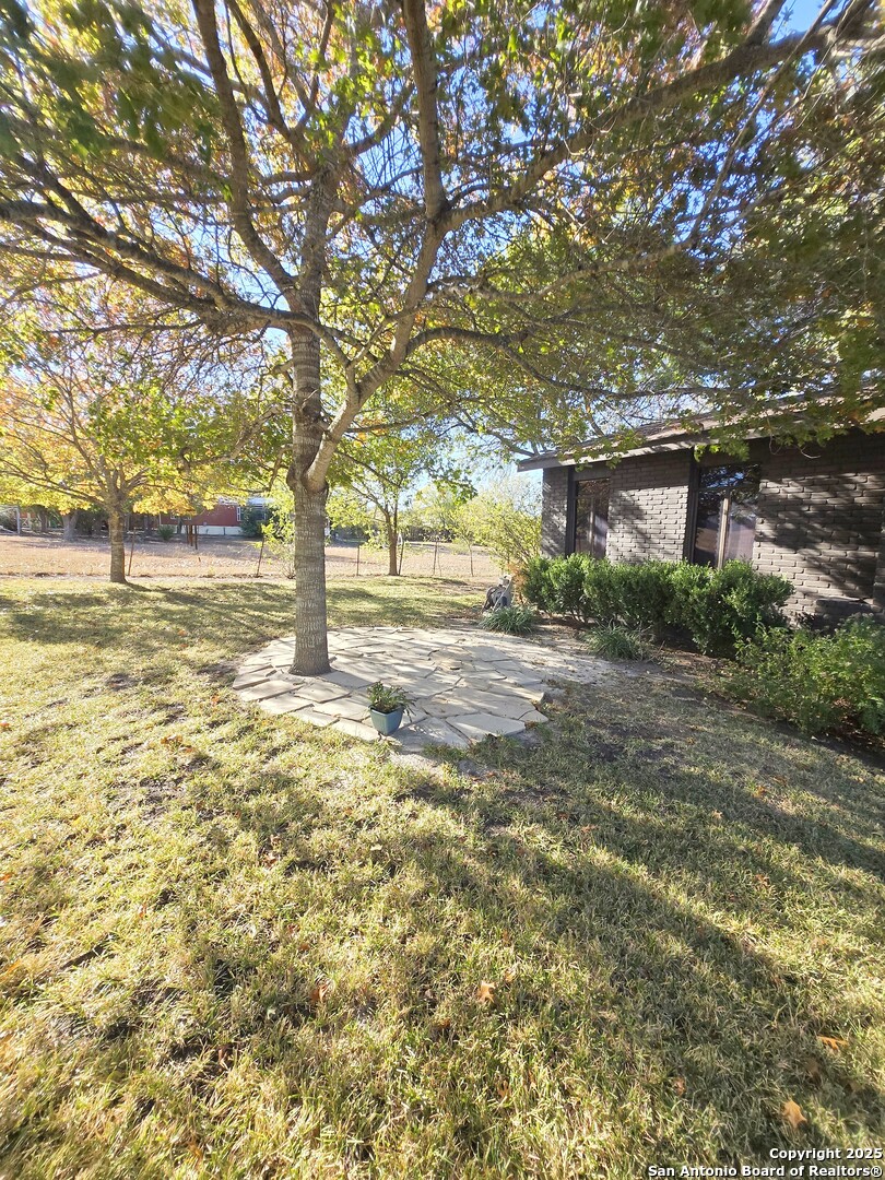 5564 Farm To Market Road 1103 Schertz, TX 78108 - Photo 6 of 35 a view of a yard with plants and trees
