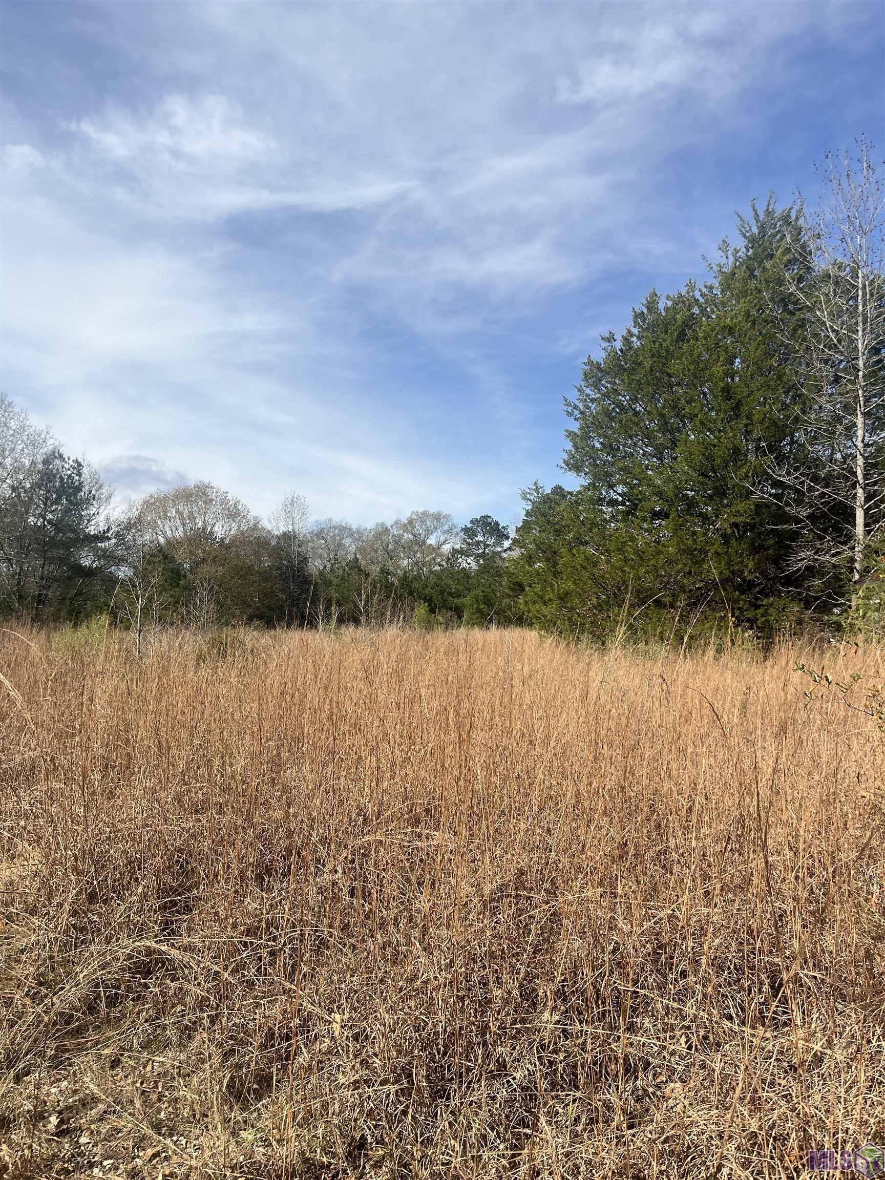 0 Ms Highway Gloster, MS 39638 - Photo 3 of 3