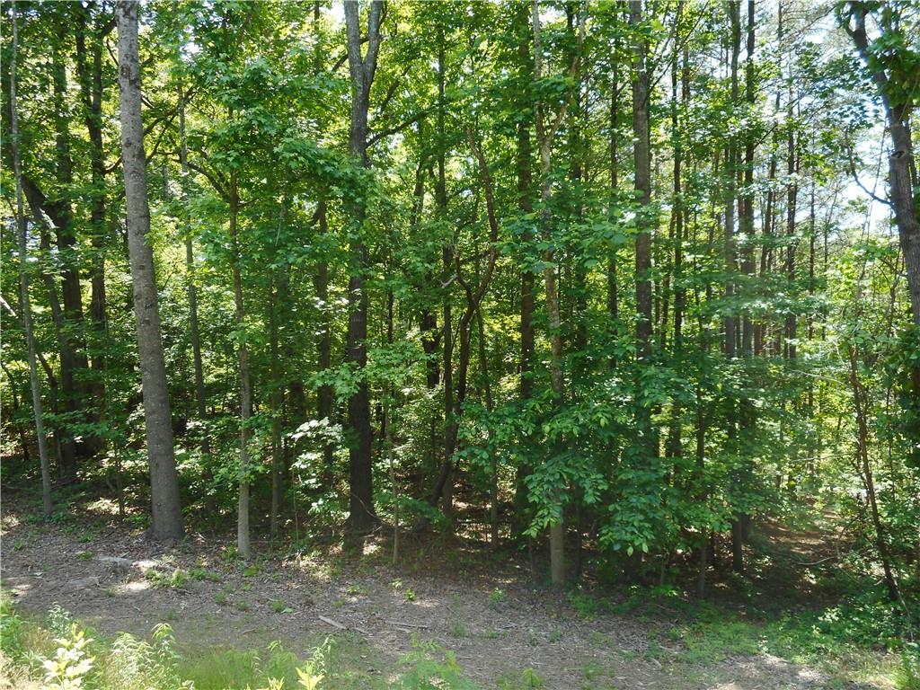 0 Holly Street Canton, GA 30115 - Photo 3 of 10 a view of a forest with lots of trees