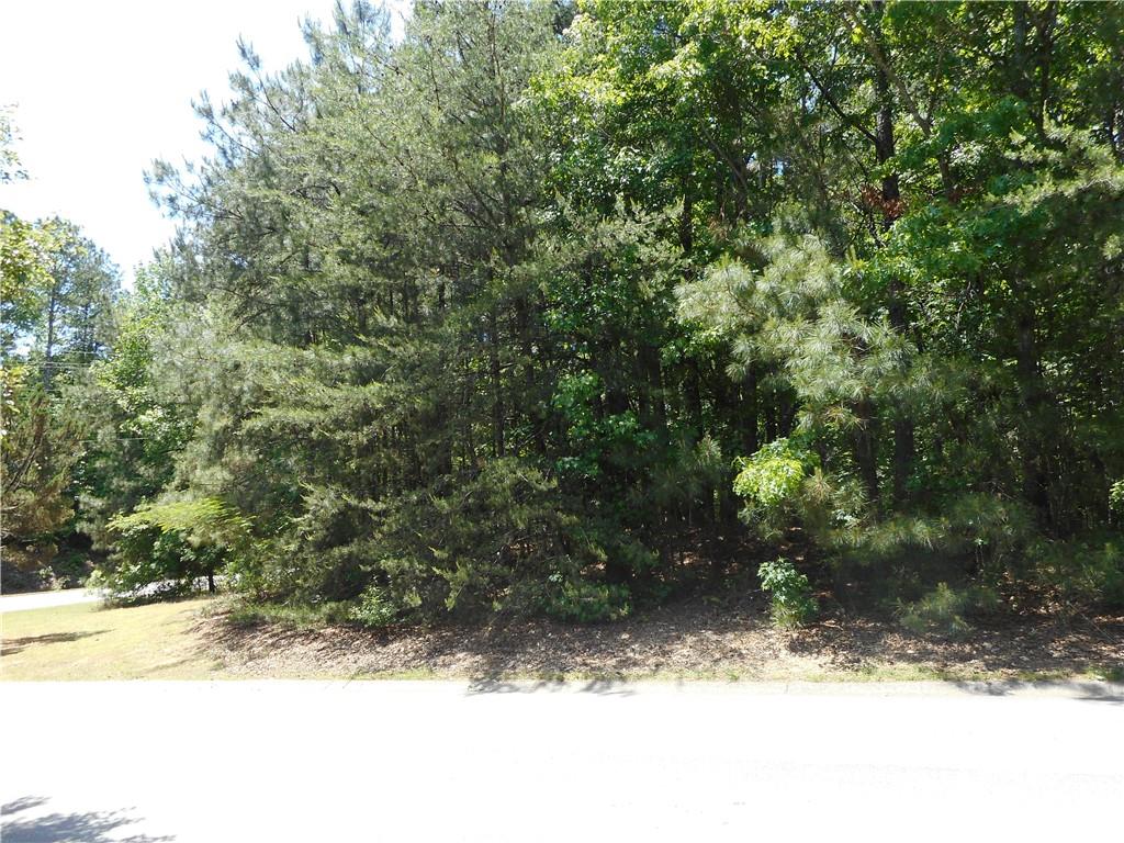 0 Holly Street Canton, GA 30115 - Photo 4 of 10 a view of a yard with a tree