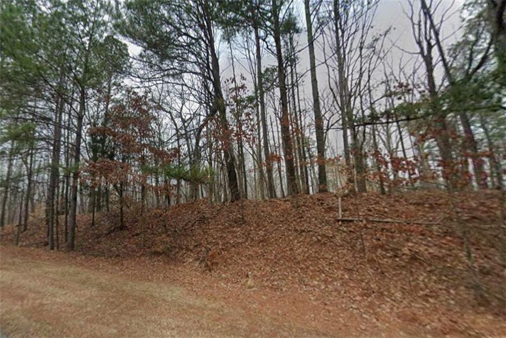 0 Holly Street Canton, GA 30115 - Photo 8 of 10 a view of backyard with trees