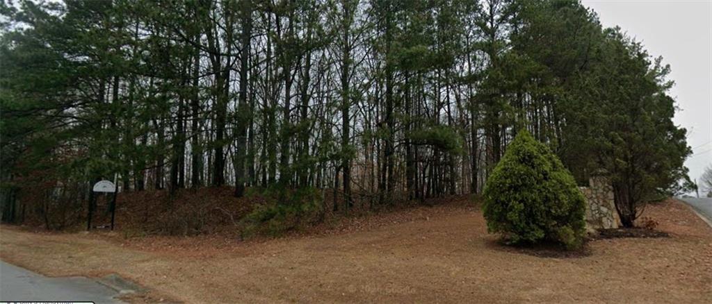 0 Holly Street Canton, GA 30115 - Photo 9 of 10 a view of a forest