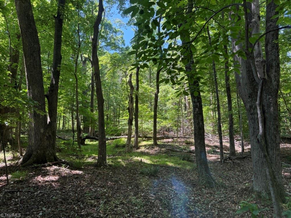 0 Salem Church Road Reidsville, NC 27320 - Photo 16 of 19