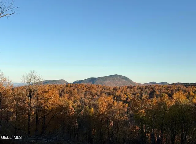 $199,900 | 0 L16 L17 Street, Johnsburg, NY 12843