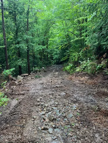 $199,900 | 0 L16 L17 Street, Johnsburg, NY 12843