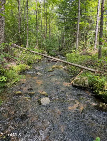 $199,900 | 0 L16 L17 Street, Johnsburg, NY 12843