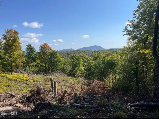 $199,900 | 0 L16 L17 Street, Johnsburg, NY 12843