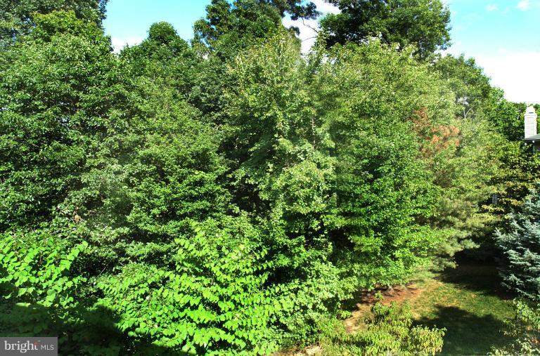 11400 Windleaf Court, Unit S Reston, VA 20194 - Photo 9 of 29 GARDEN ENTRANCE AND TREED BACKDROP!