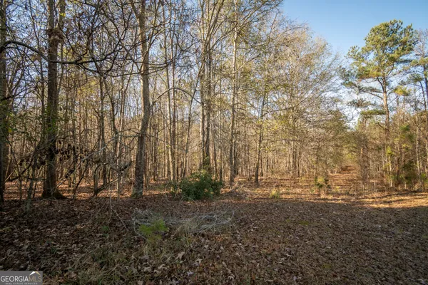 a view of outdoor space and trees