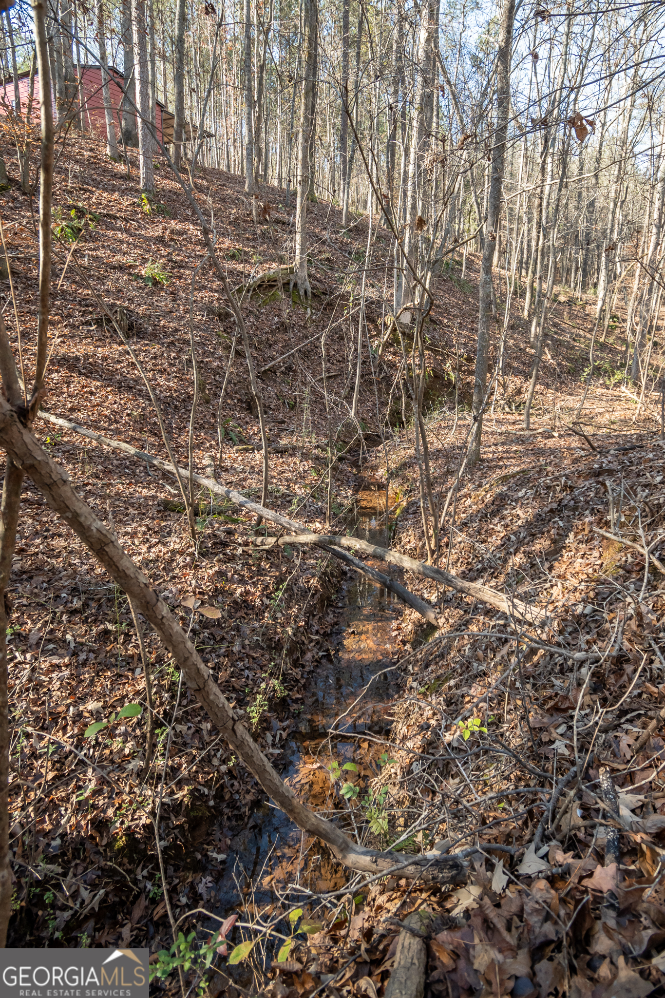 0 Lavista Road Jefferson, GA 30549 - Photo 11 of 16 a view of a yard