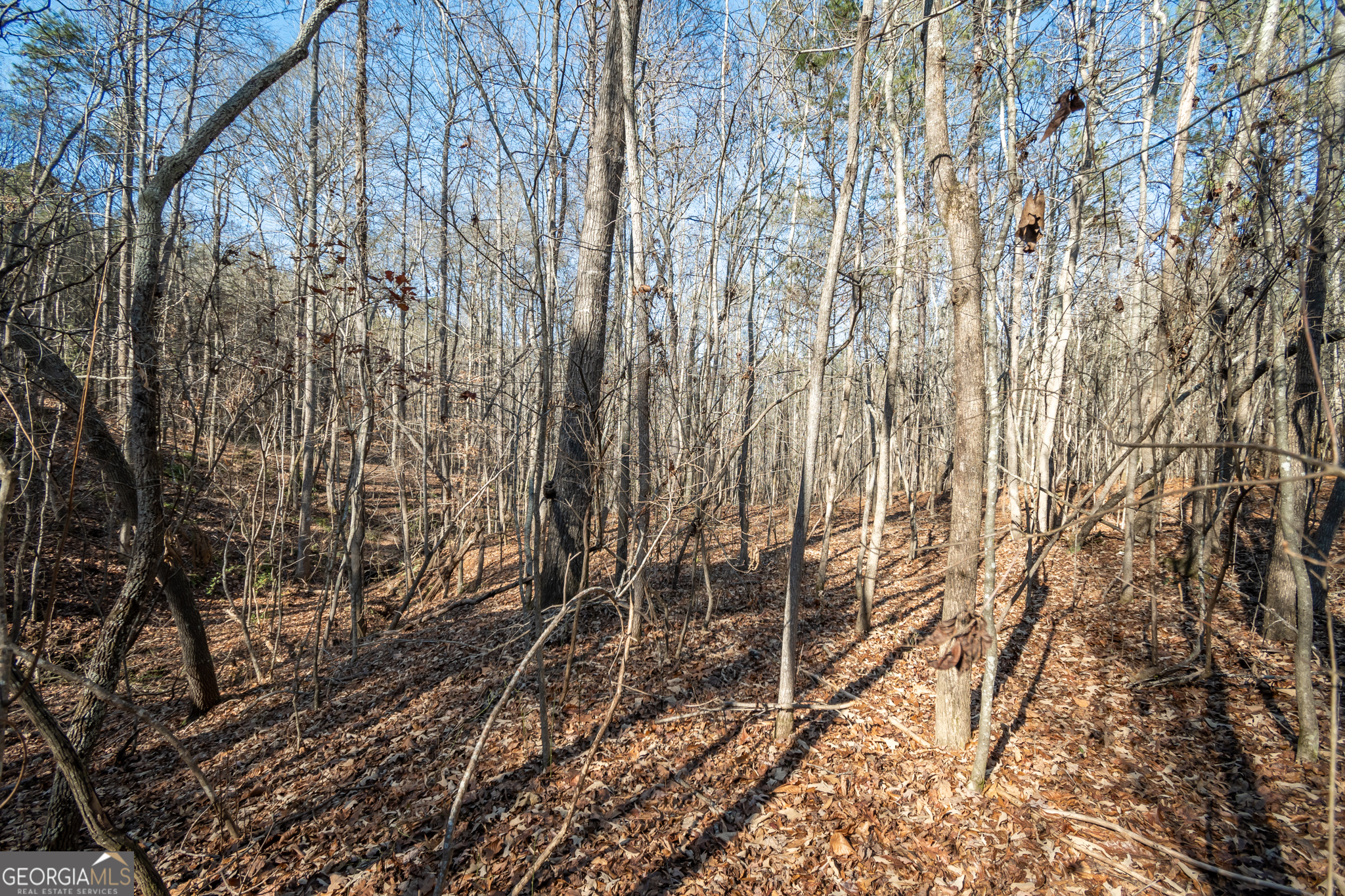 0 Lavista Road Jefferson, GA 30549 - Photo 12 of 16 a backyard of a house with lots of green space