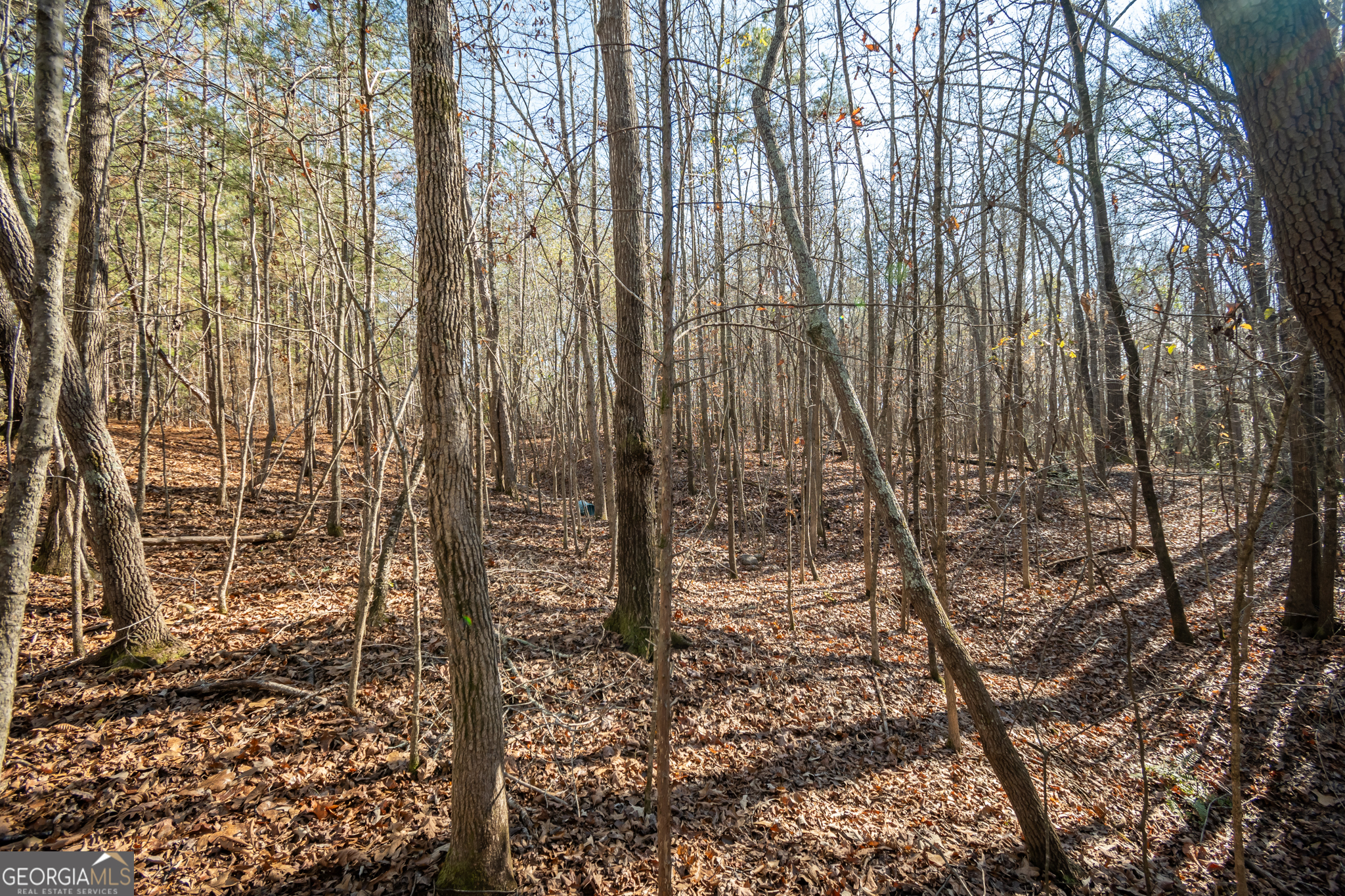 0 Lavista Road Jefferson, GA 30549 - Photo 13 of 16 a view of a yard with plants and wooden fence