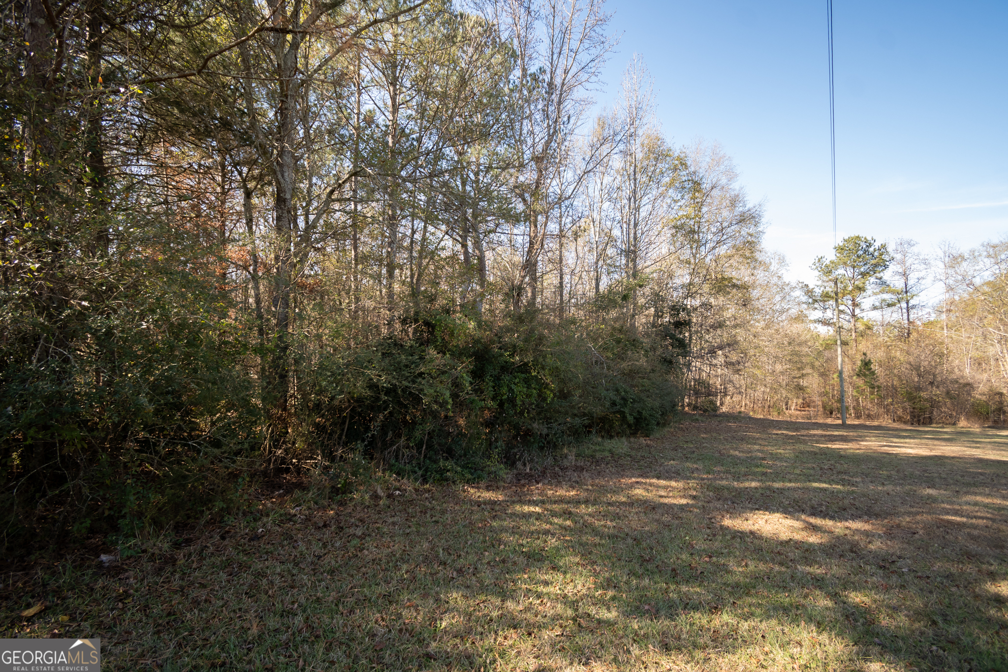 0 Lavista Road Jefferson, GA 30549 - Photo 14 of 16 a view of a forest with trees