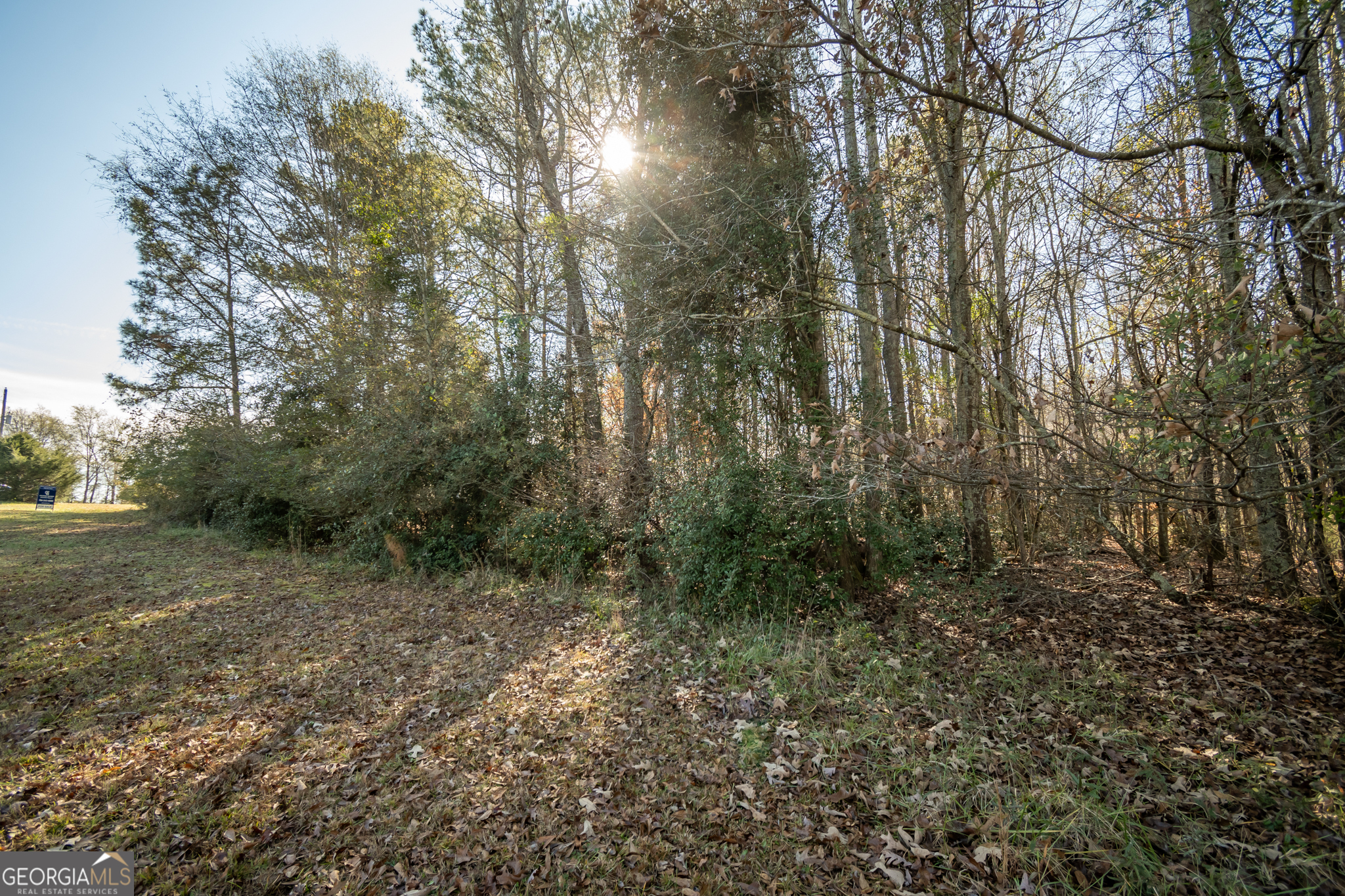 0 Lavista Road Jefferson, GA 30549 - Photo 3 of 16 a view of a forest with trees in the background