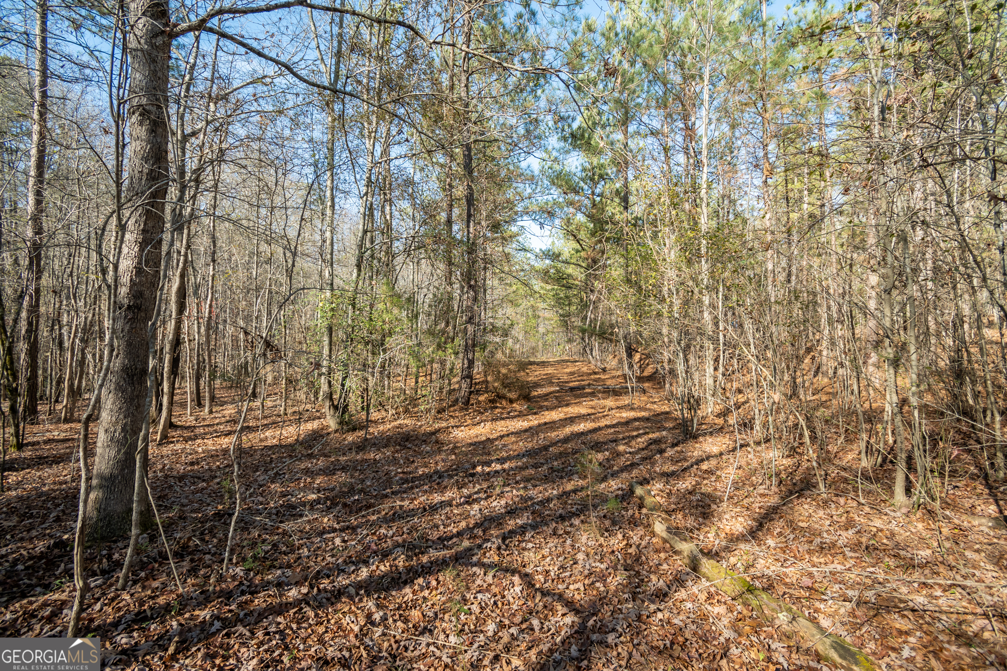 0 Lavista Road Jefferson, GA 30549 - Photo 4 of 16 a view of a yard with trees