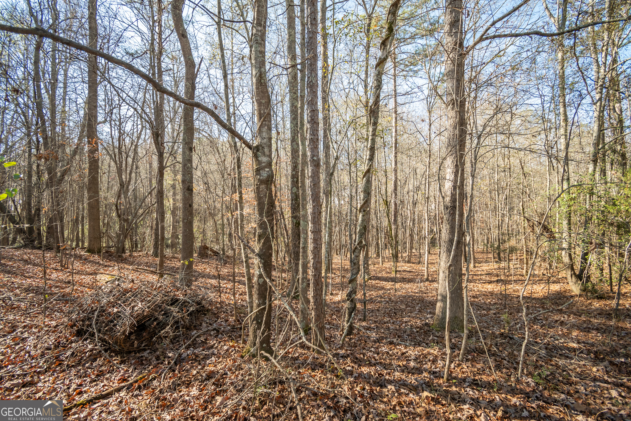 0 Lavista Road Jefferson, GA 30549 - Photo 5 of 16