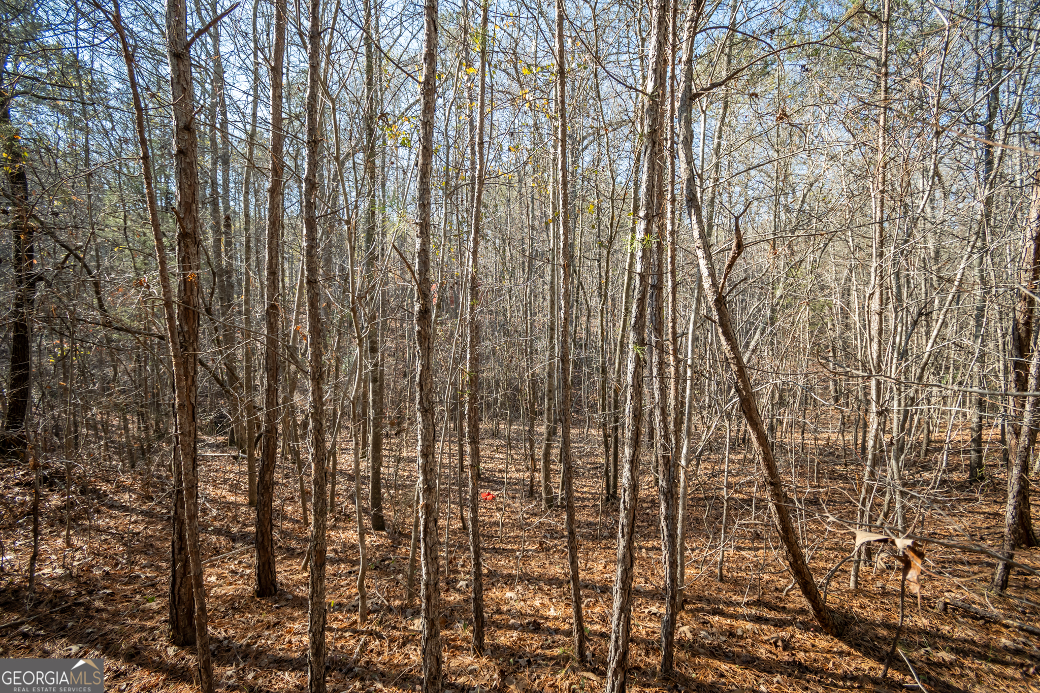 0 Lavista Road Jefferson, GA 30549 - Photo 8 of 16 a view of a yard from balcony