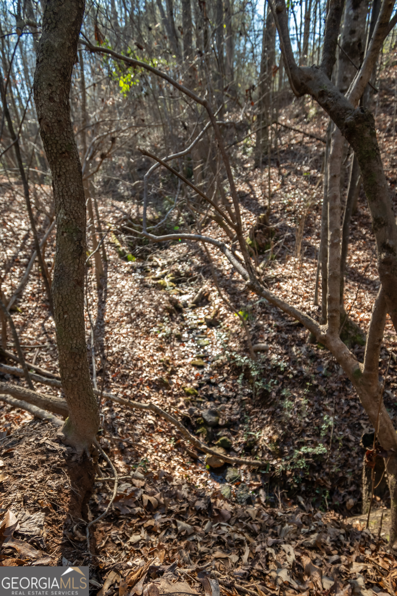 0 Lavista Road Jefferson, GA 30549 - Photo 9 of 16 a view of a tree