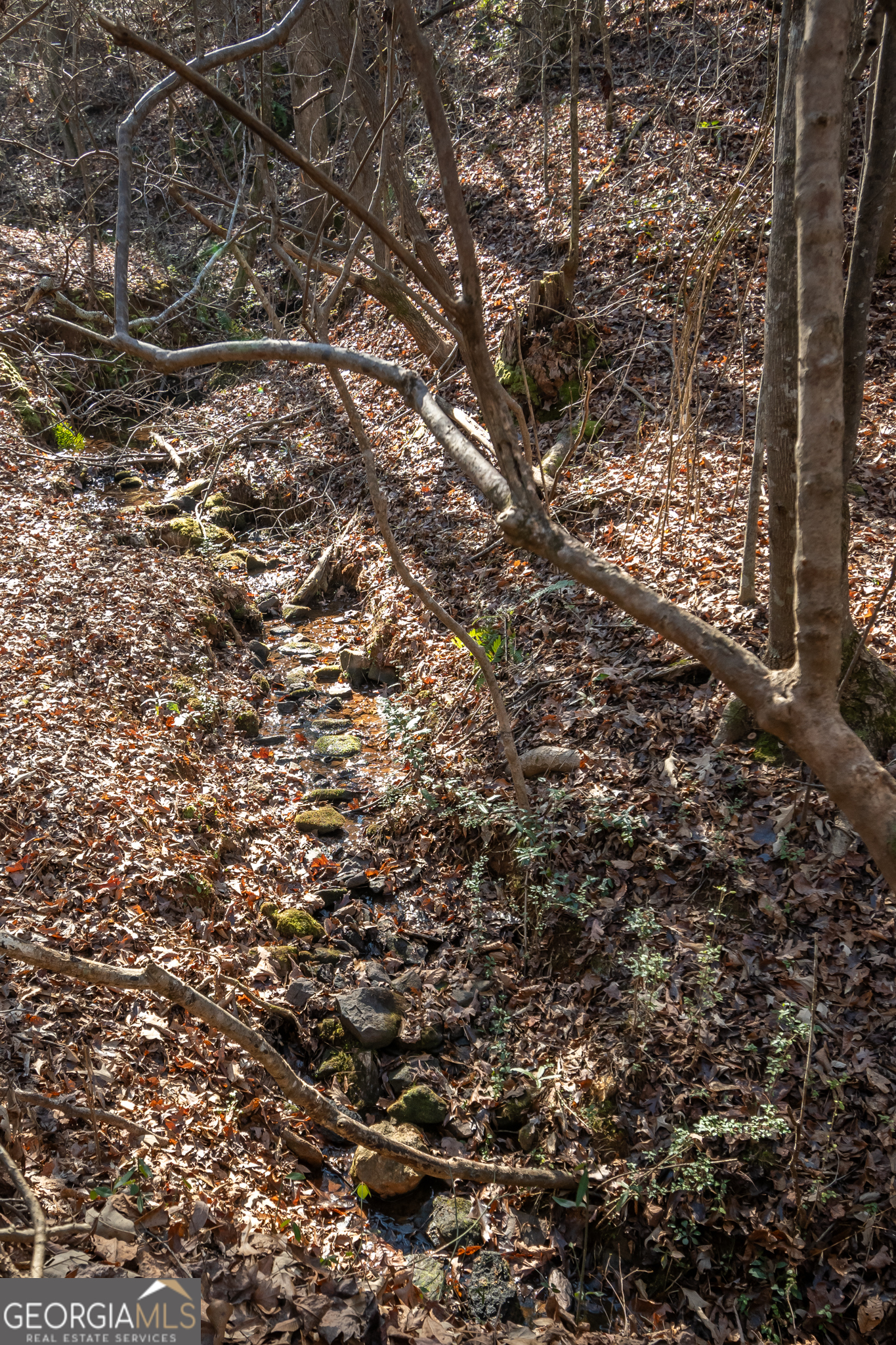 0 Lavista Road Jefferson, GA 30549 - Photo 10 of 16 a close up of a tree