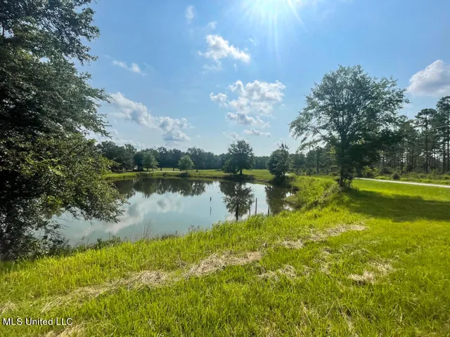 $124,118 | Lot 6 Gemma Drive, Lucedale, MS 39452