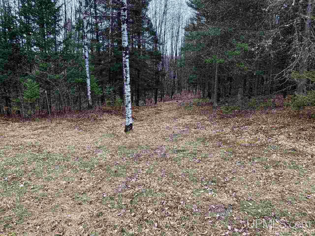 Tbd Turner Road Channing, MI 49815 - Photo 13 of 42