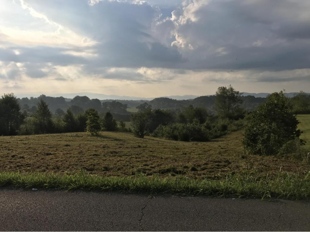 805 Pates Hill Road Mosheim, TN 37818 - Photo 1 of 10 Photo 1