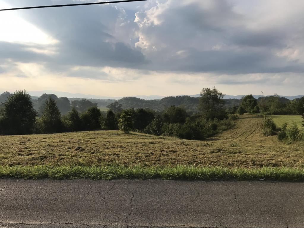 805 Pates Hill Road Mosheim, TN 37818 - Photo 2 of 10 Photo 2