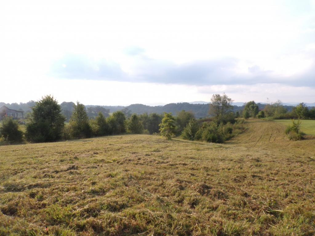 805 Pates Hill Road Mosheim, TN 37818 - Photo 4 of 10 Photo 4