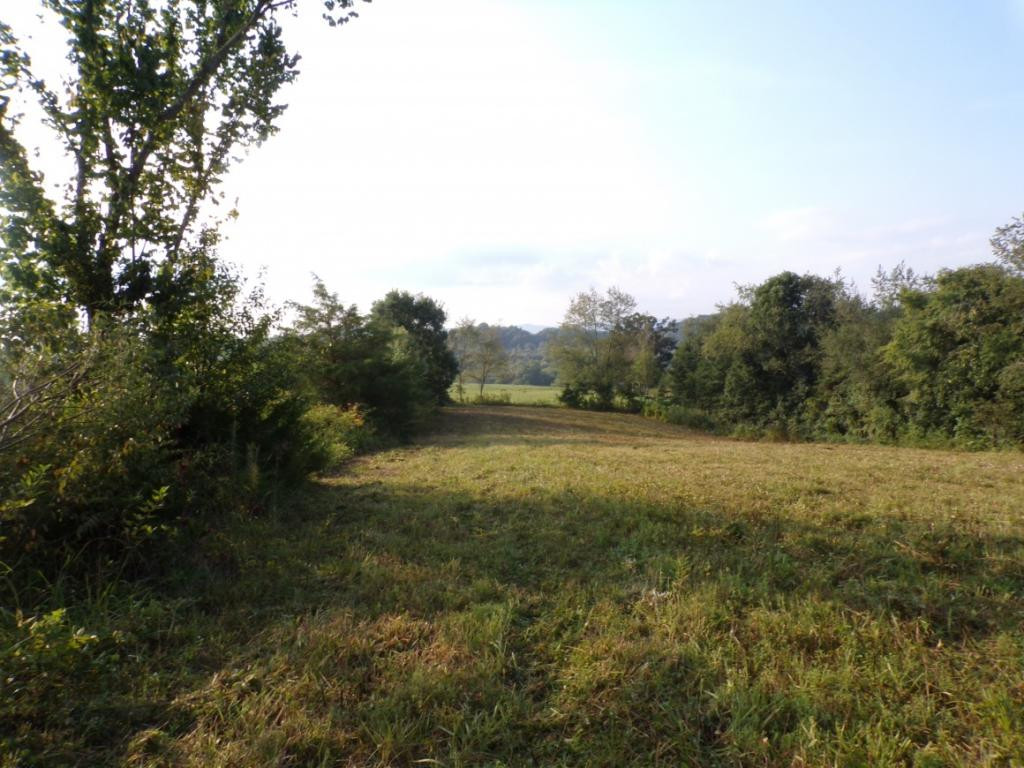 805 Pates Hill Road Mosheim, TN 37818 - Photo 5 of 10 Photo 5