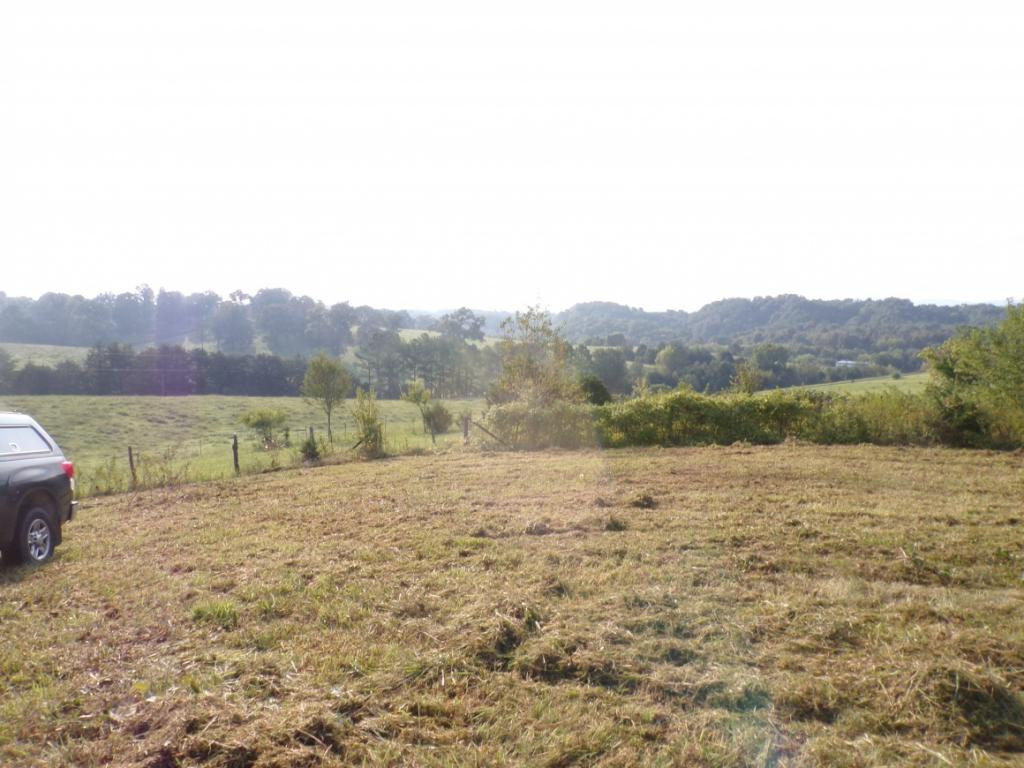 805 Pates Hill Road Mosheim, TN 37818 - Photo 7 of 10 Photo 7