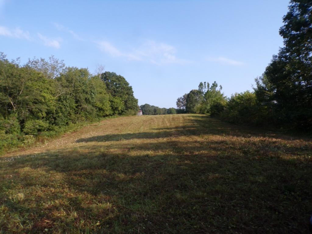 805 Pates Hill Road Mosheim, TN 37818 - Photo 8 of 10 Photo 8