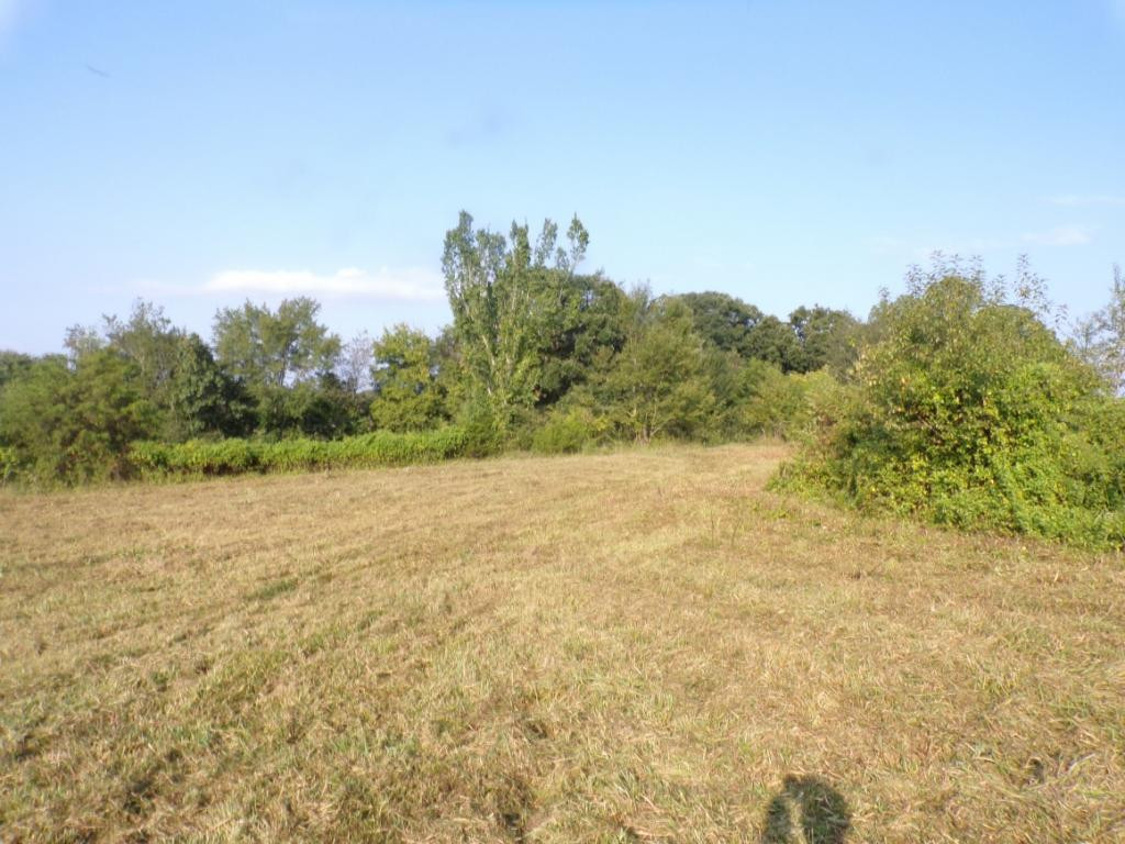 805 Pates Hill Road Mosheim, TN 37818 - Photo 9 of 10 Photo 9
