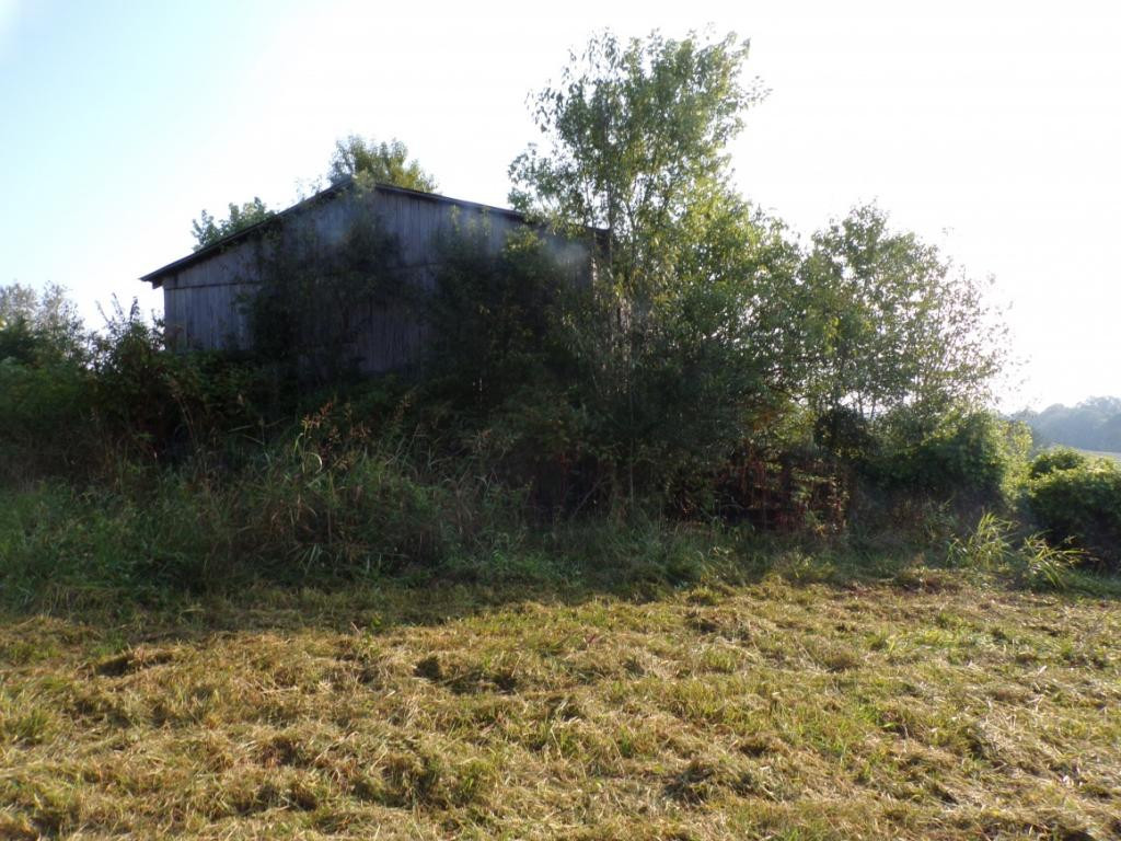 805 Pates Hill Road Mosheim, TN 37818 - Photo 10 of 10 Photo 10