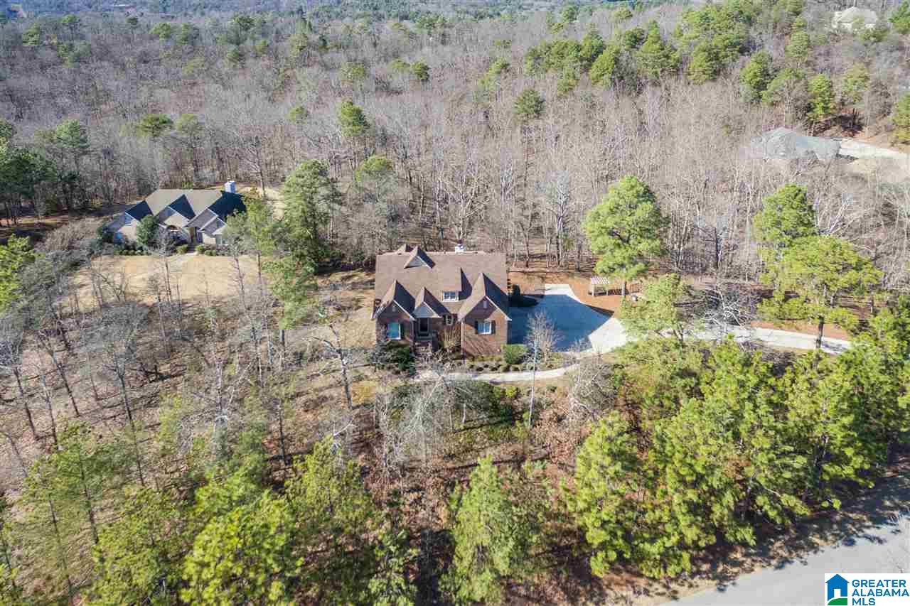 123 High Hampton Drive Pelham, AL 35124 - Photo 41 of 43
