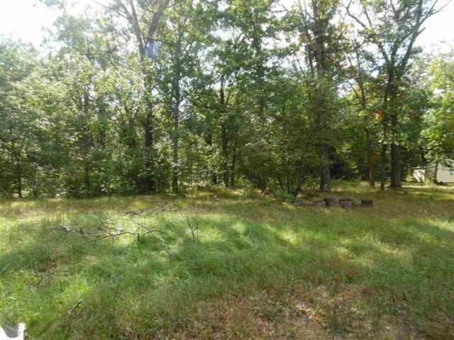 95 North Tippy Dam Road Wellston, MI 49689 - Photo 17 of 41 -115301-16