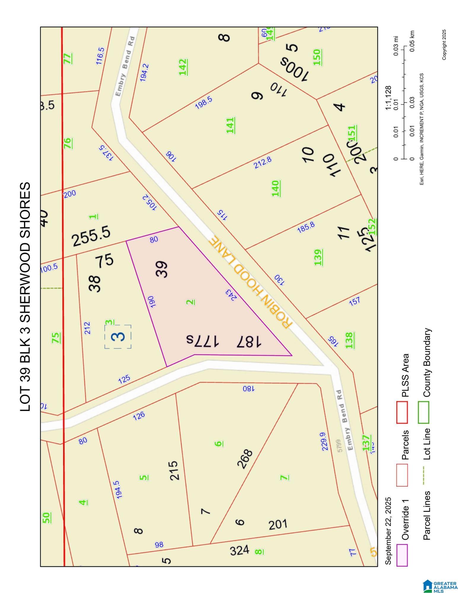 Lot 39 Embry Bend Road, Unit 1 Lincoln, AL 35096 - Photo 1 of 2