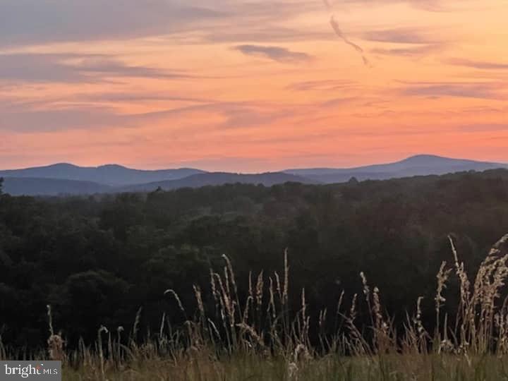 9078 Maidstone Road Delaplane, VA 20144 - Photo 3 of 49